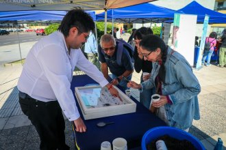 WhatsApp Image 2026-04-15 at 12.38.45.jpeg